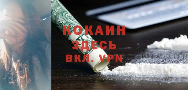 тгк Алексин